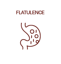 Flatulence