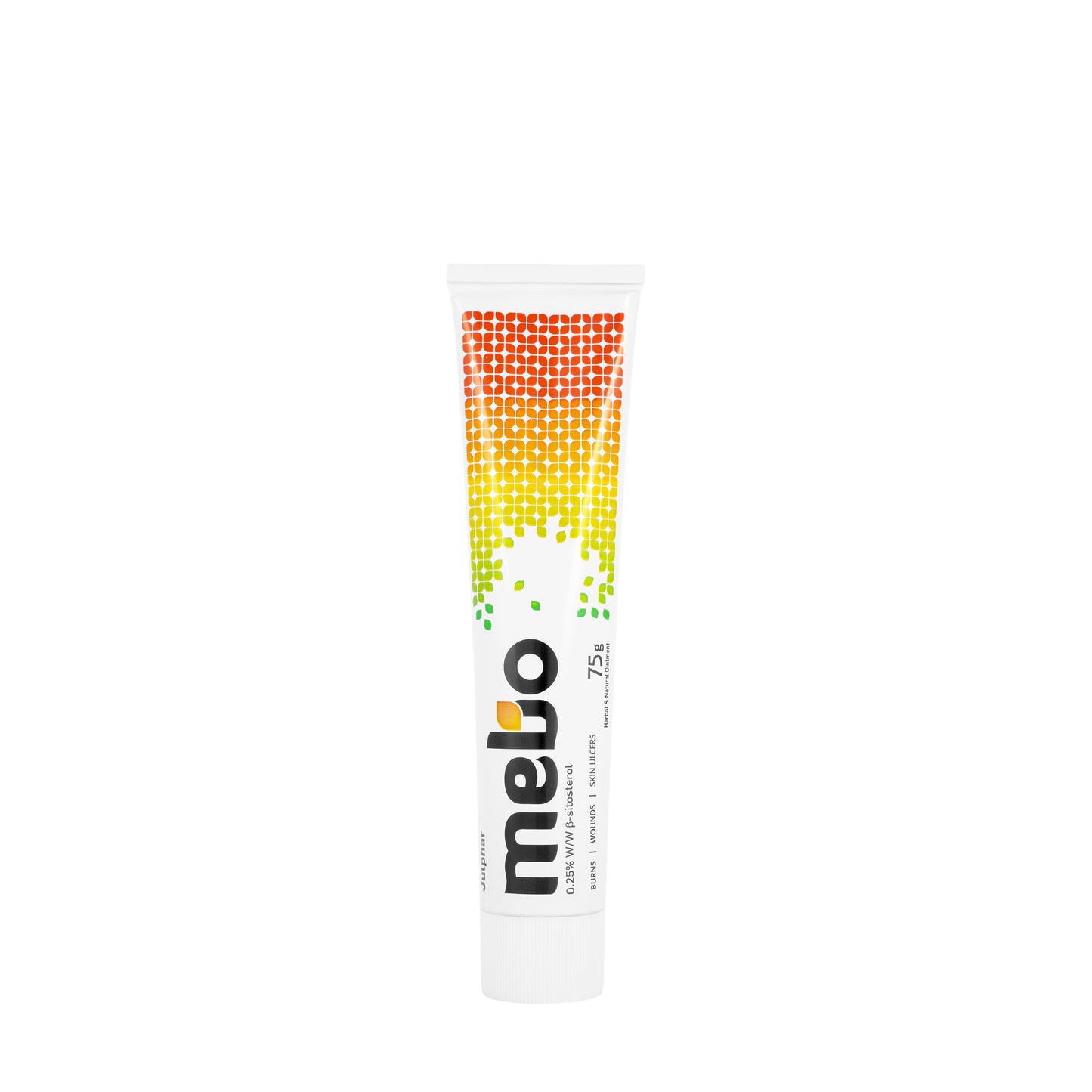 Mebo Ointment 75Gm