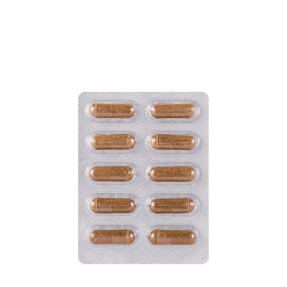 Ayuges Capsules (Herbal) 60 Capsulaes