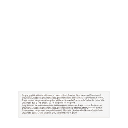 Bronchovaxom Adult 30Capsules