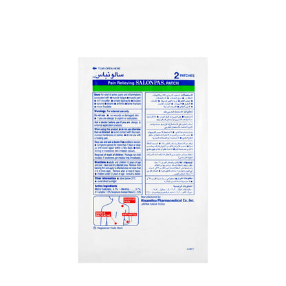 Salonpas Patch 13 cm x 8.4 cm 2 Pieces