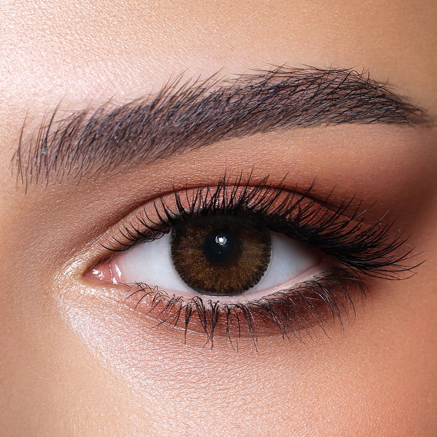 Bella Contour Hazel Plano