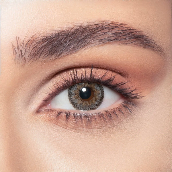 Bella Contour Gray Plano