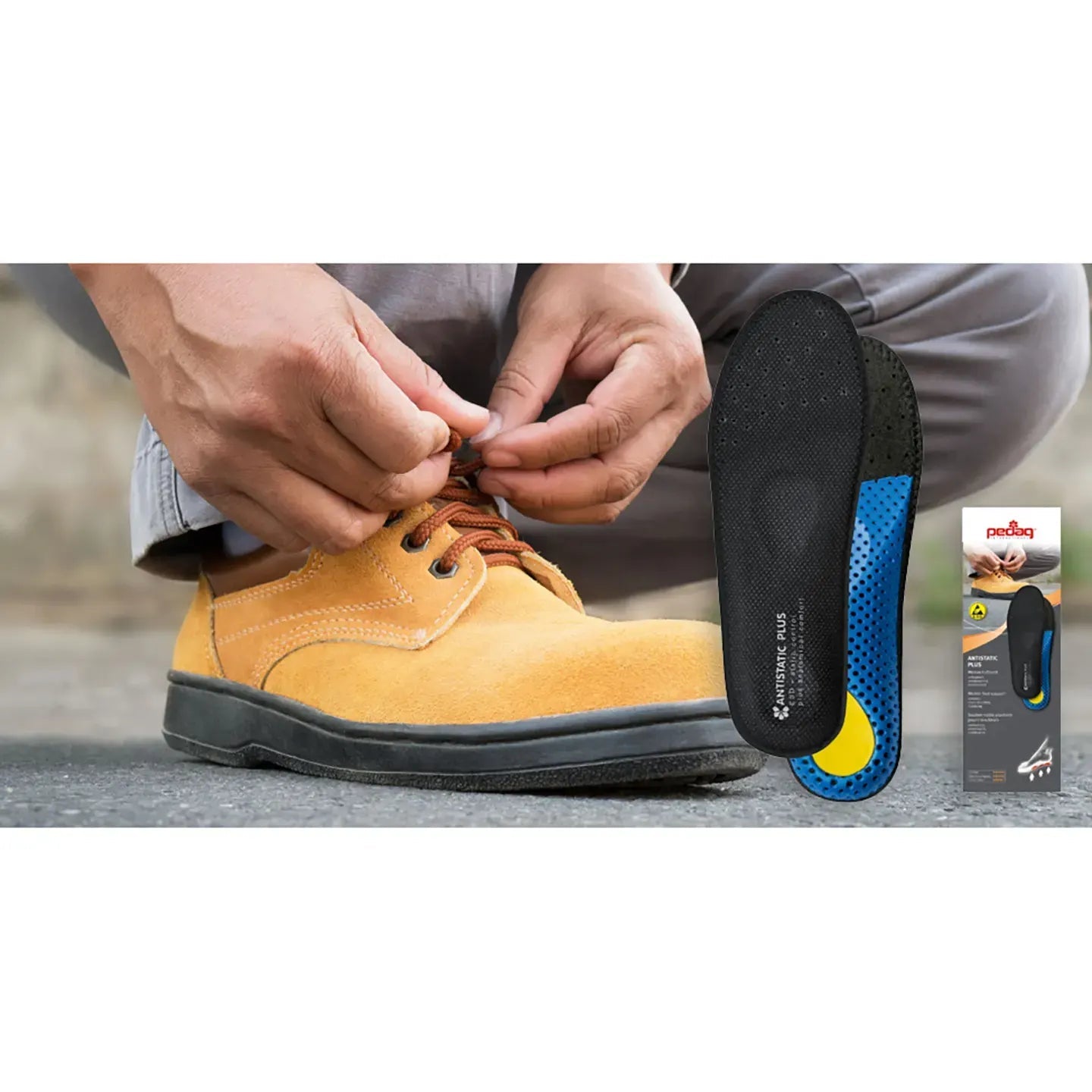 Scholl Pedag Antistatic Plus 44