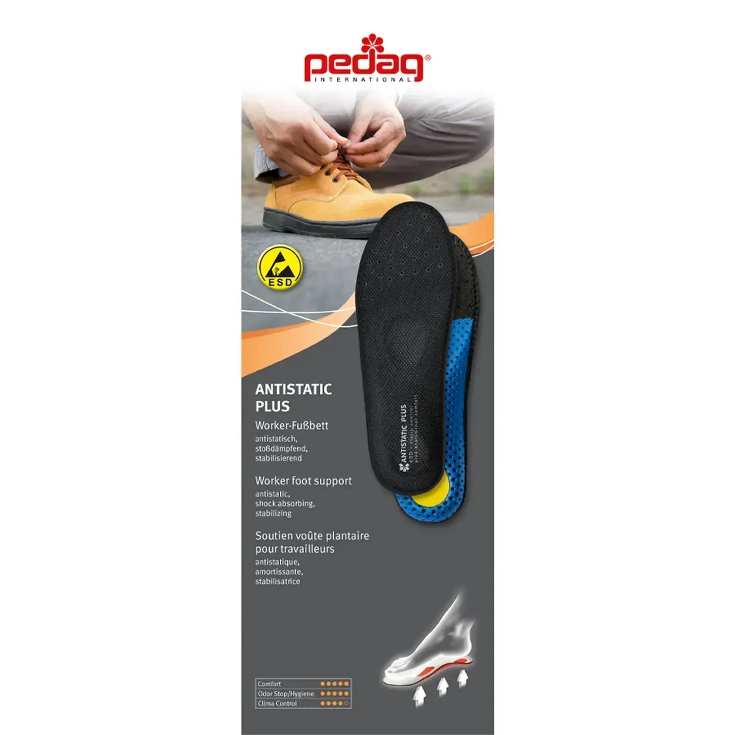 Scholl Pedag Antistatic Plus 45