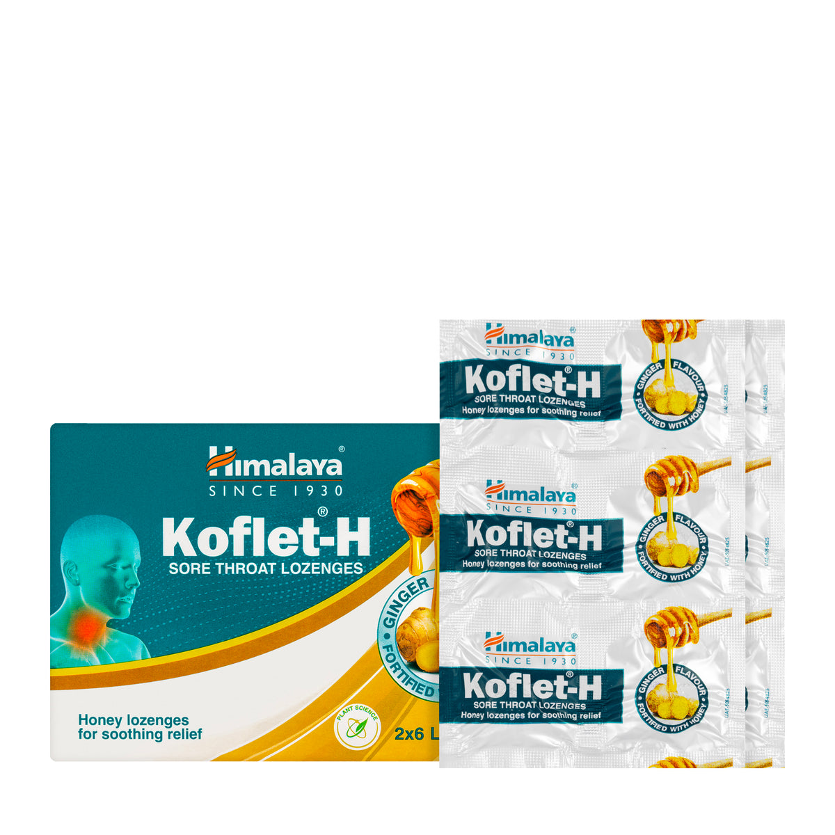 Himalaya Koflet-H Ginger 12 Lozenges