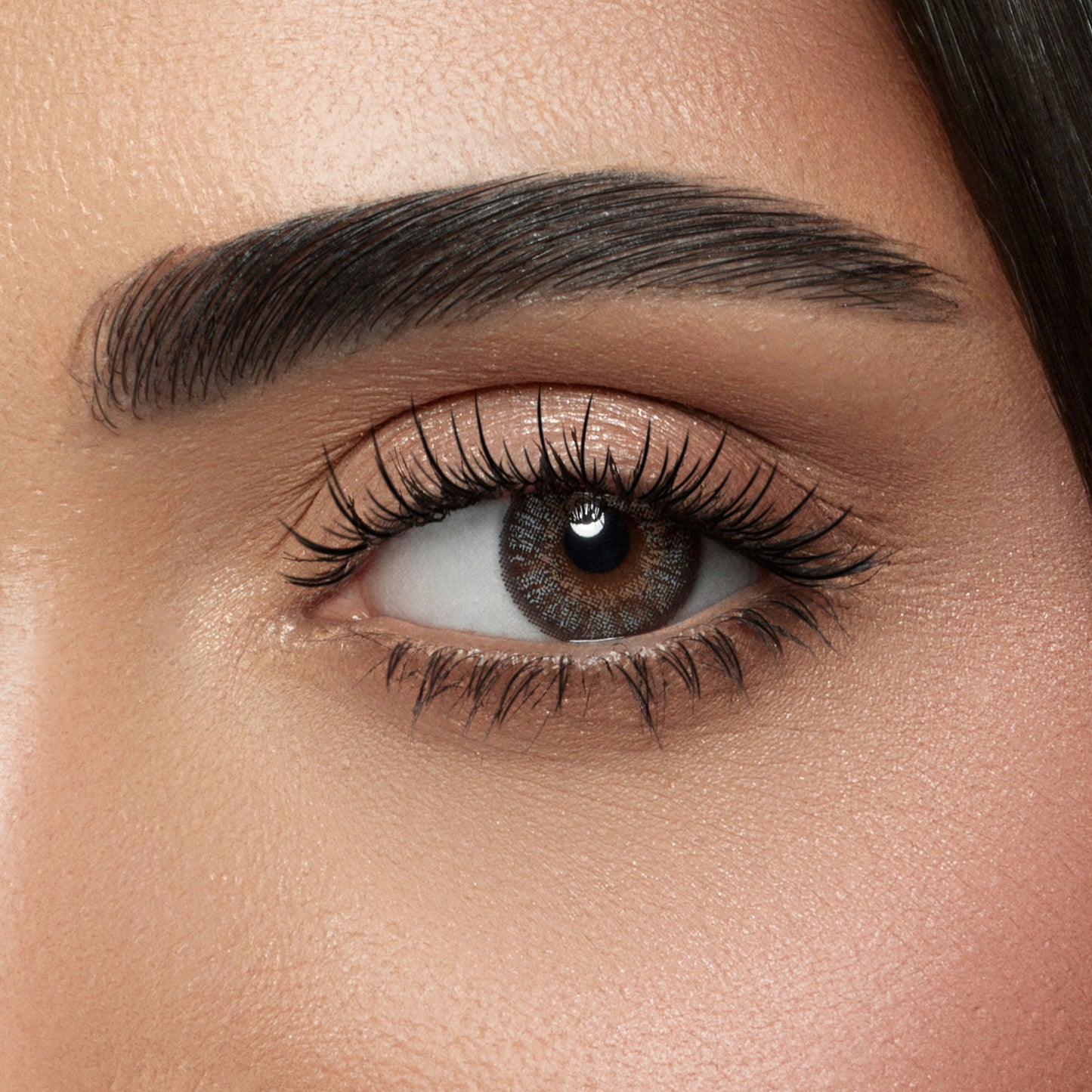 Amara Lens Daily