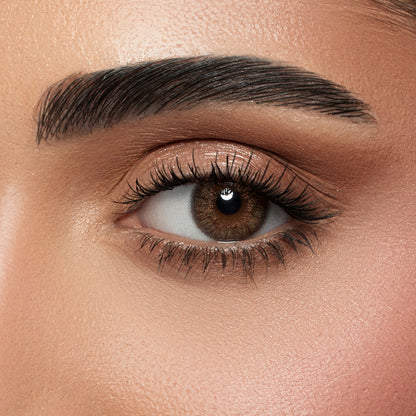 Amara Lens Daily