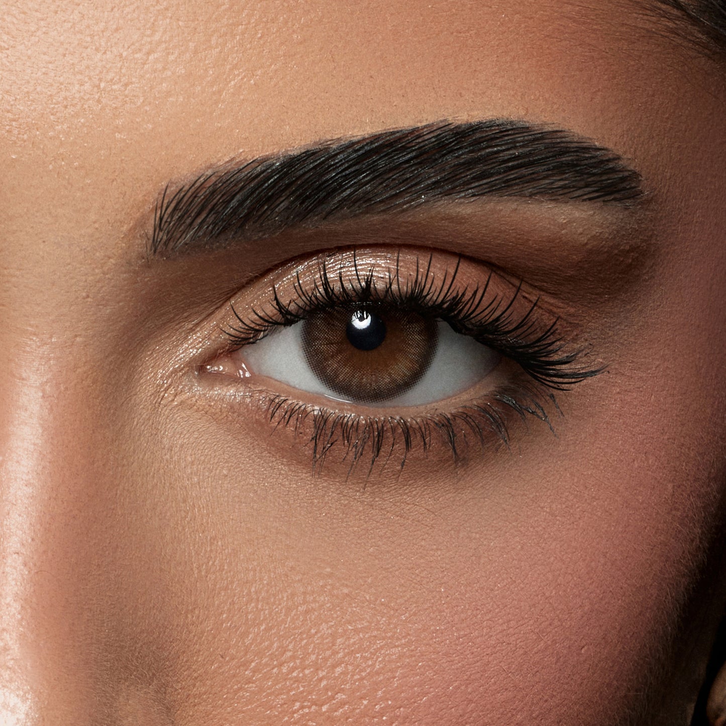 Amara Lens Daily