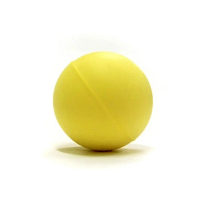 Tynor Excercising Ball Neuro H-05 [Small]
