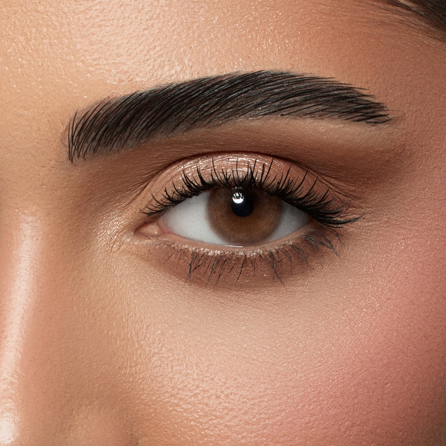Amara Lens Daily