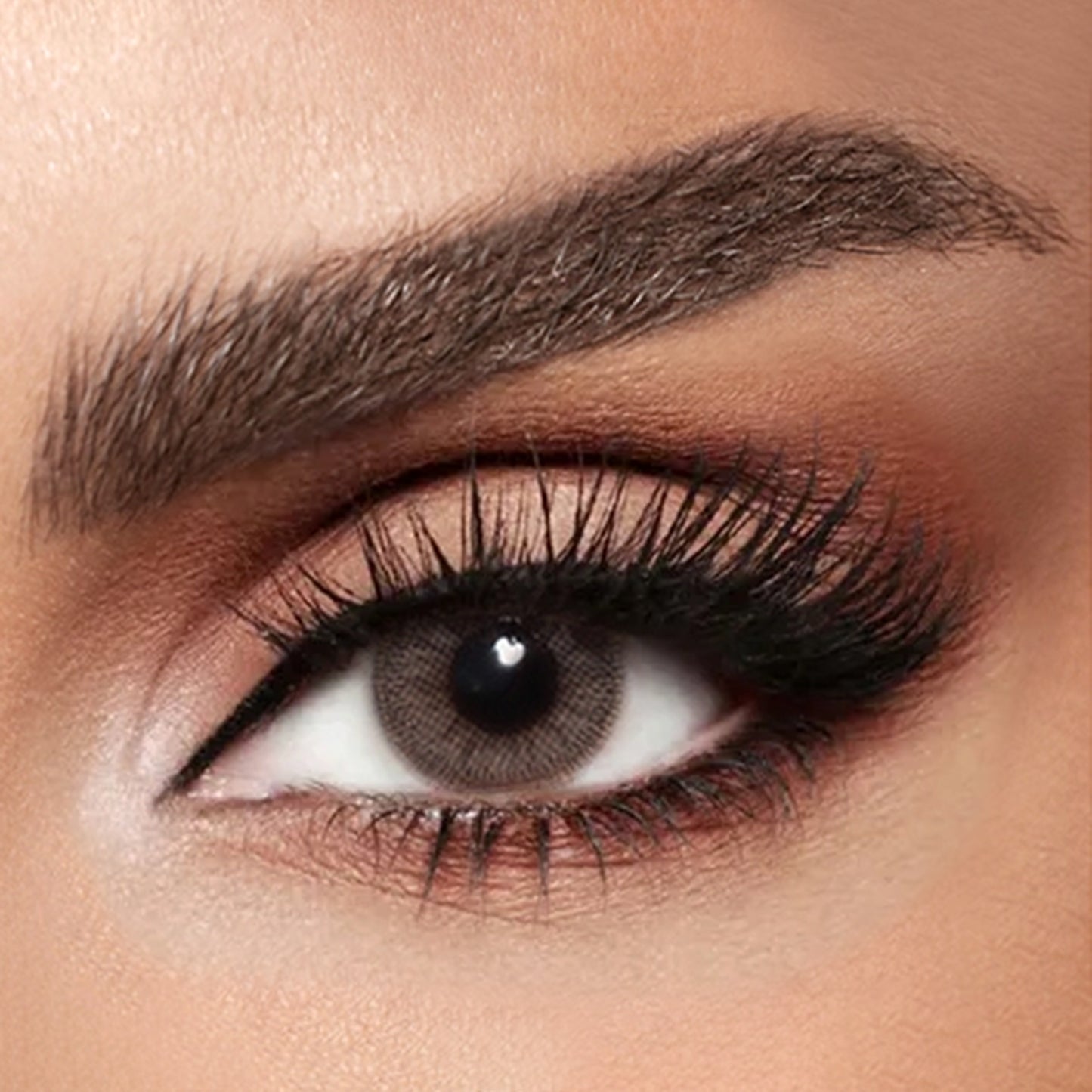 Diva Monthly Lenses