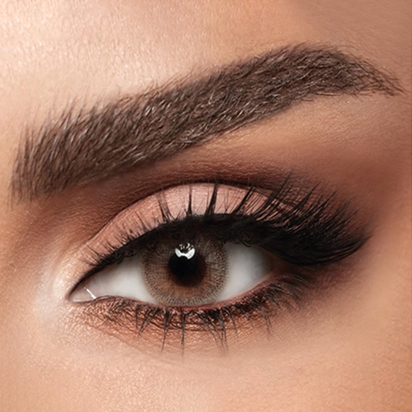 Diva Monthly Lenses