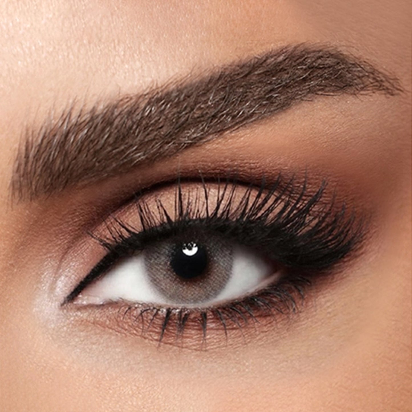 Diva Monthly Lenses