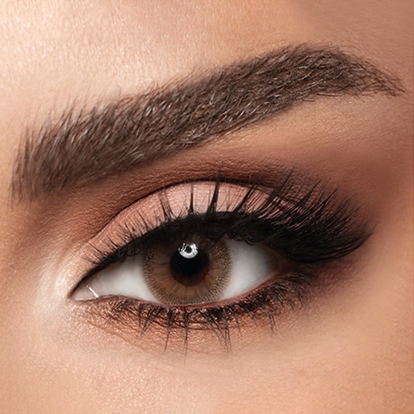 Diva Monthly Lenses