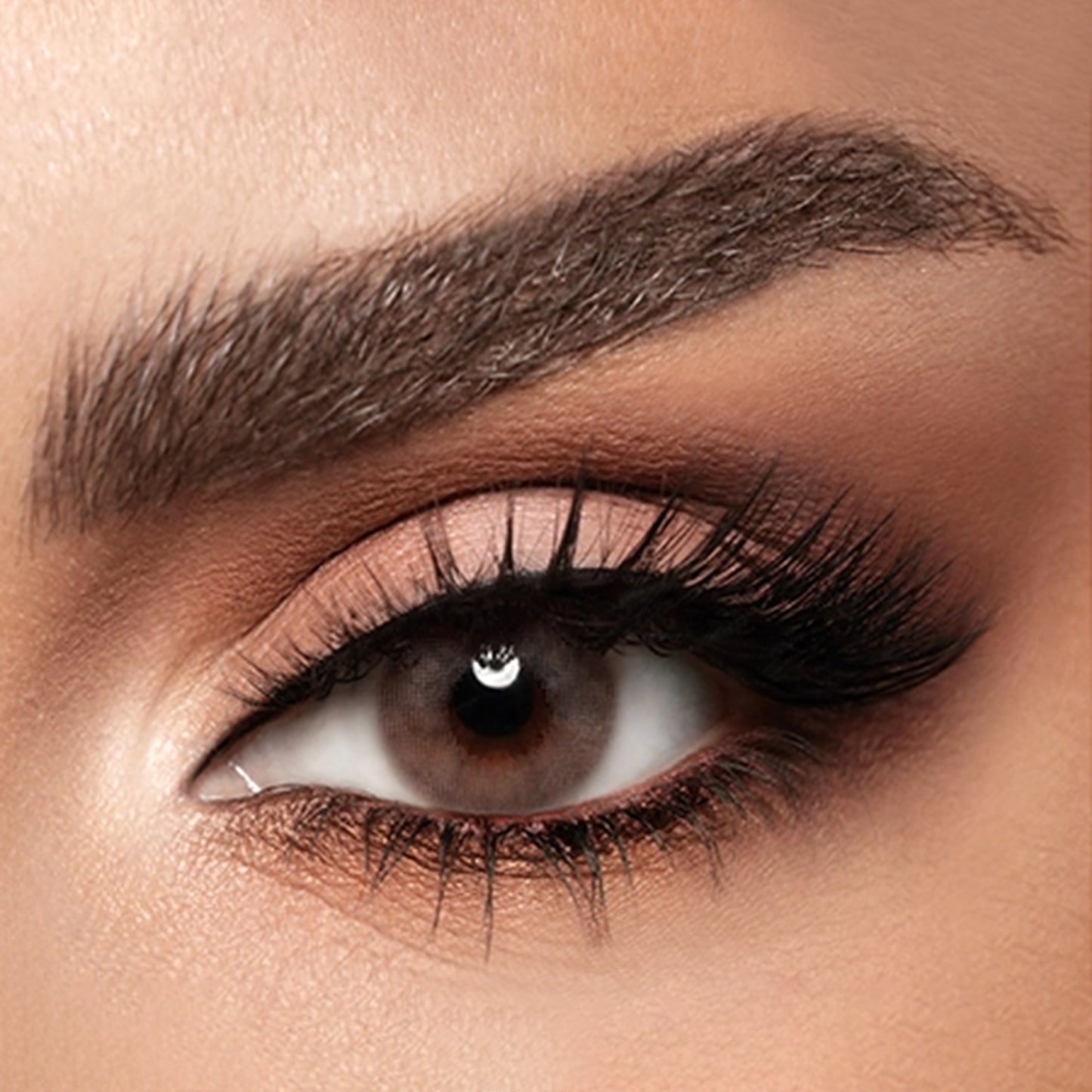 Diva Monthly Lenses