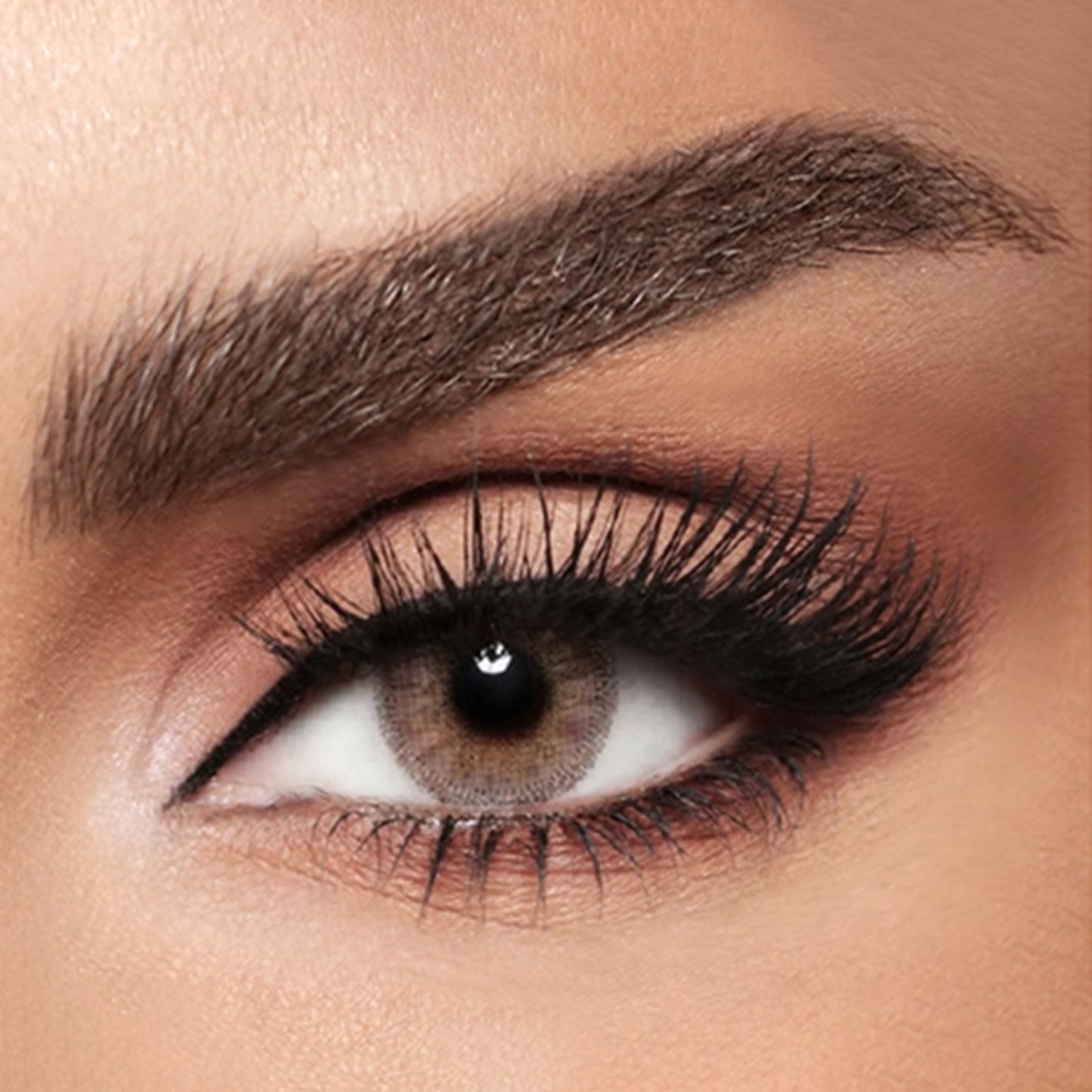 Diva Monthly Lenses