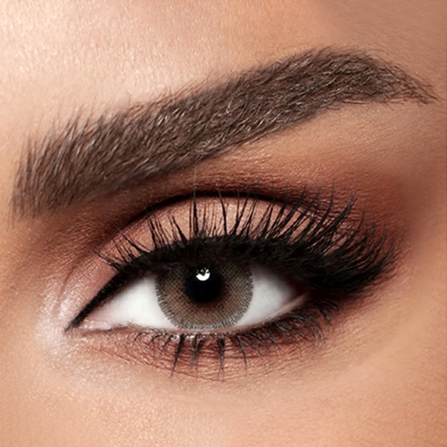 Diva Monthly Lenses