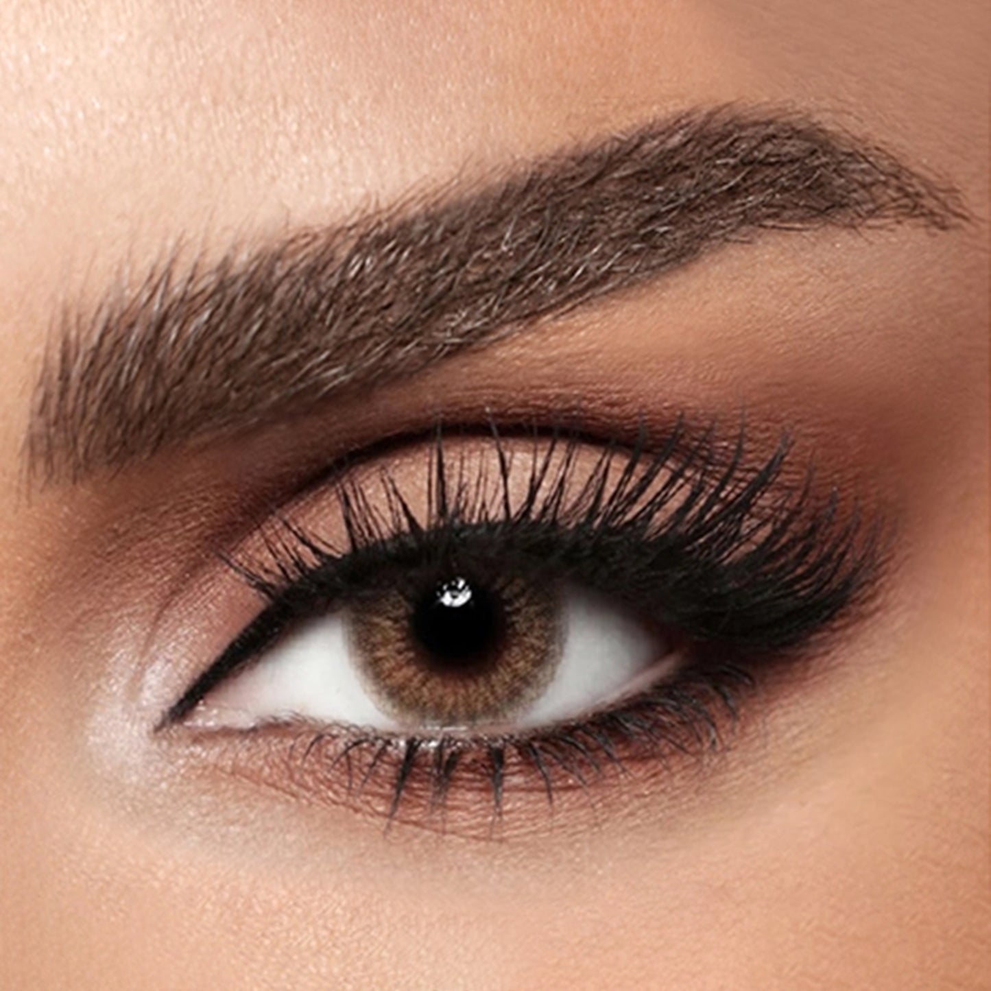 Diva Monthly Lenses