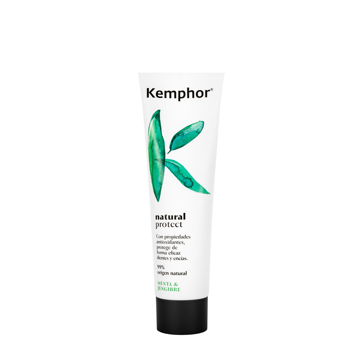 Kemphor Natural Protect ToothPaste 100 ml