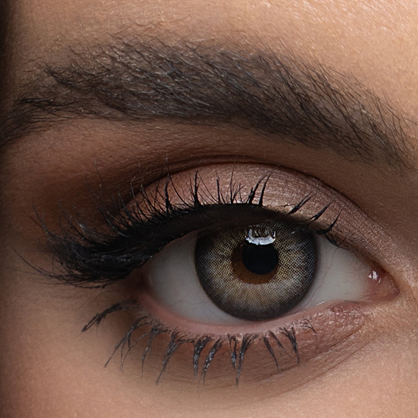 EVE Plano Monthly