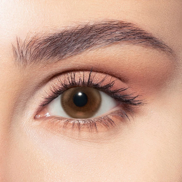Bella One Day Siren Bronze Plano