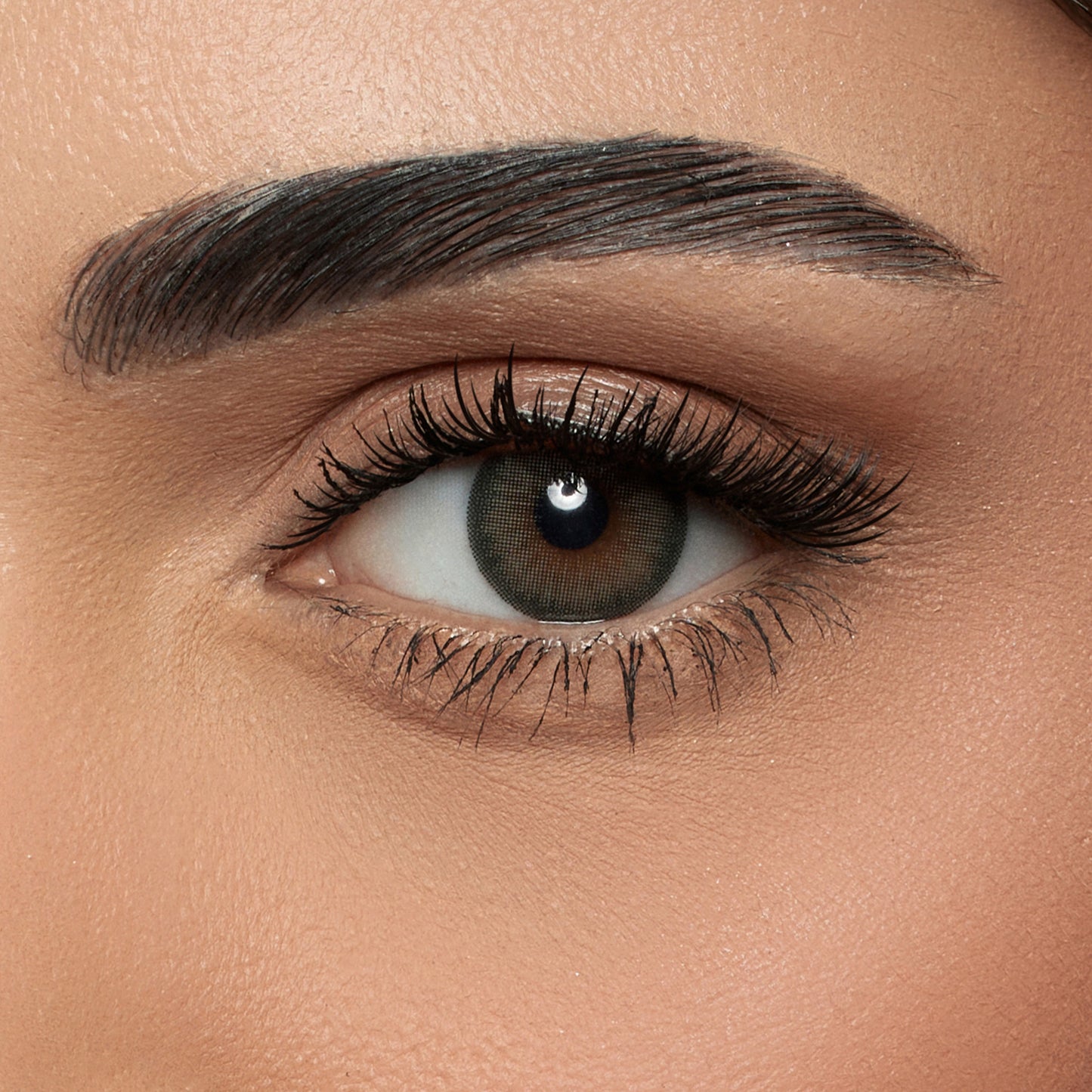 Amara Lens Daily