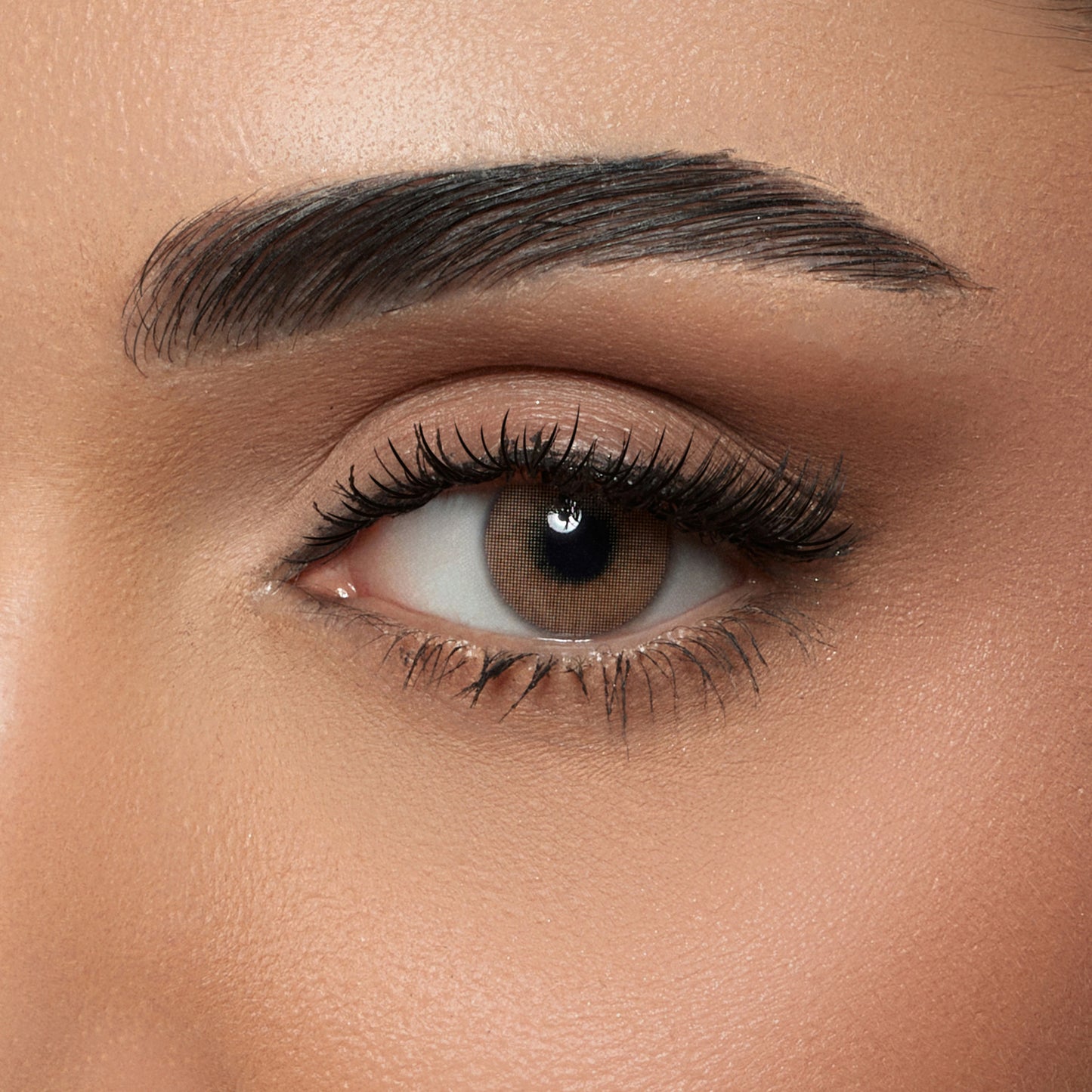 Amara Lens Daily