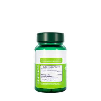 Ashwagandha Somnifera 60 Capsules